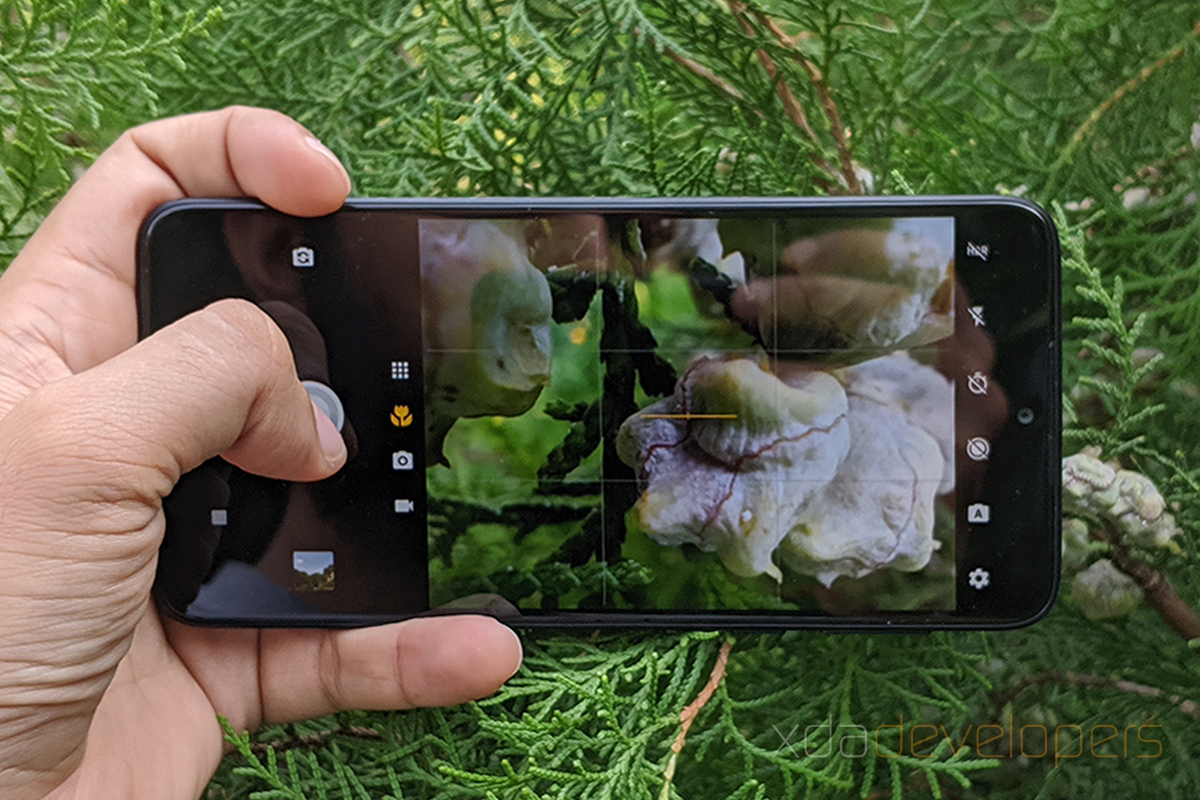 بررسی دوربین ماکرو موتورولا یک: ماکرو عکاسی چشمگیر