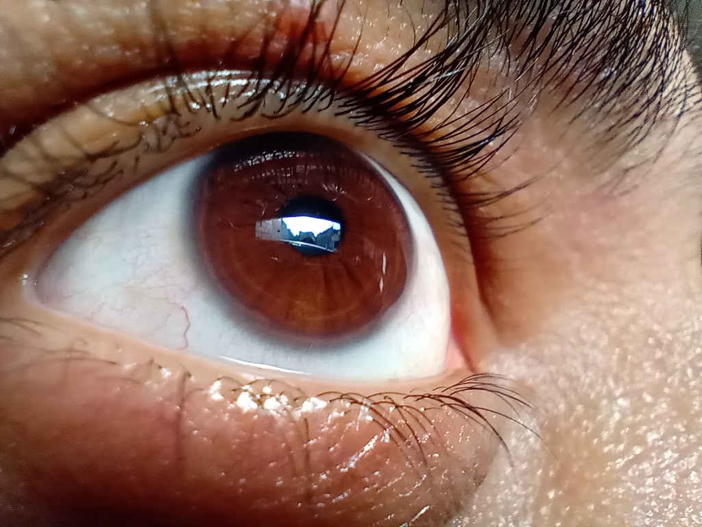  نمونه دوربین های موتورولا یک ماکرو 