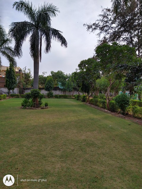  Moto G8 Plus - عکسهای Daylight 