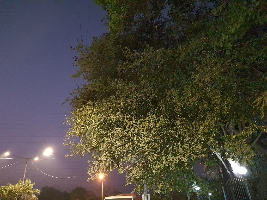 Samsung Galaxy Note 10 Lite low light photos