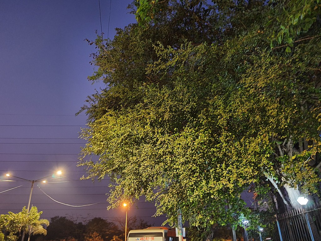 Samsung Galaxy Note 10 Lite night mode photos