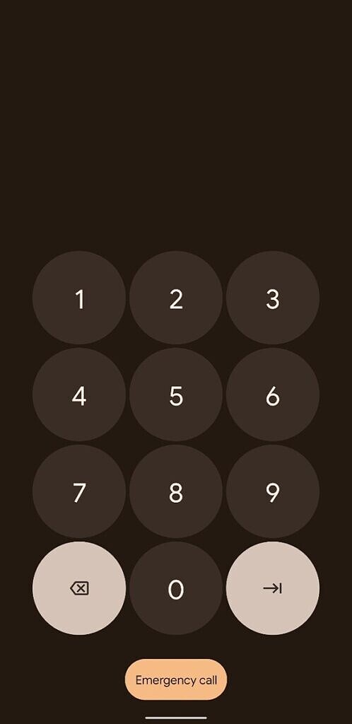  Android 12 DP2 PIN revamp 